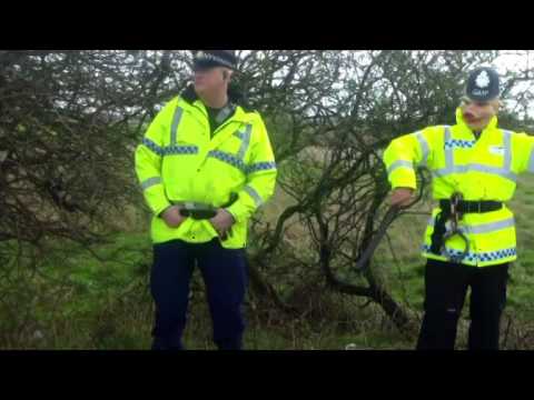 download lagu mp3 mp4 Cuntstable, download lagu Cuntstable gratis, unduh video klip Cuntstable