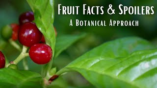 Fruit Facts and Spoilers: A Botanical Approach