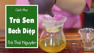 Hướng Dẫn Pha Trà Sen Bách Diệp