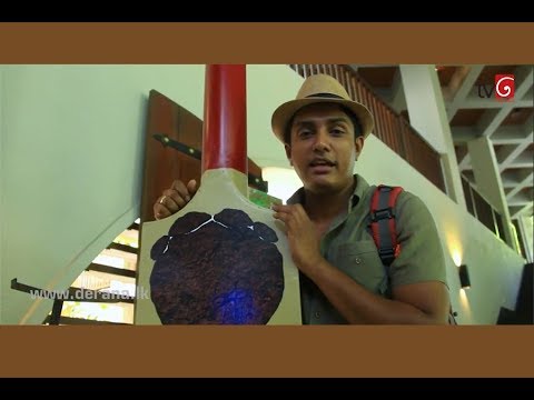 Grand Udawalawe Safari Resort - Travel with Chathura