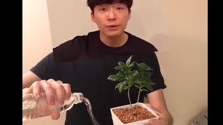 星野 源 筋肉 Watch Hd Mp4 Videos Download Free