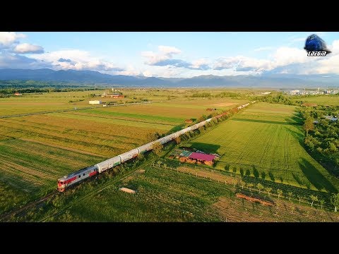 🚁[Drone] Fluieroasa 60-1151-9 Whistle Loko & Marfar CFR MARFĂ Freight Train in Sudrigiu 28 May 2020