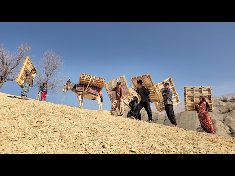 The Steepest Climb! 🏔️ Carrying the New Roof to the Top of the Mountain 💪🏠