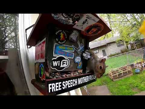 The Snow Plow Show Episode 775 - Porch Pirates