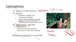 Leptospirosis