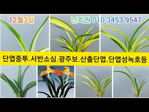 유튜브 썸네일