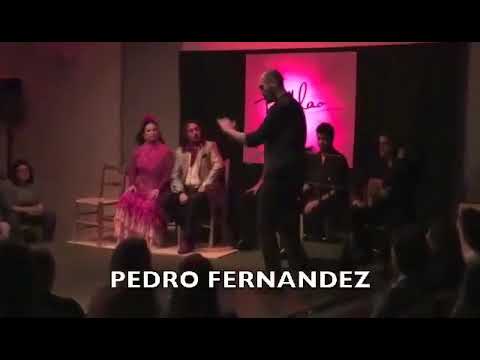 Pedro Fernndez, en el Tablao Perla Flamenca