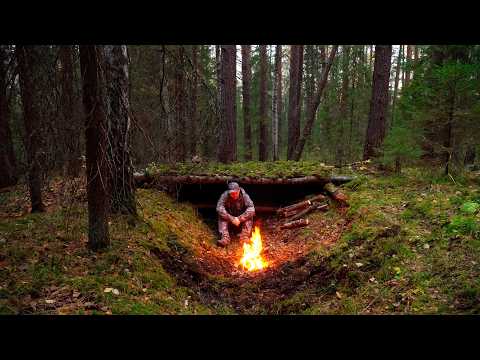 HOW TO SURVIVE A COLD NIGHT IN THE FOREST? BUILDING A SECRET LOG SHELTER. BUSHCRAFT