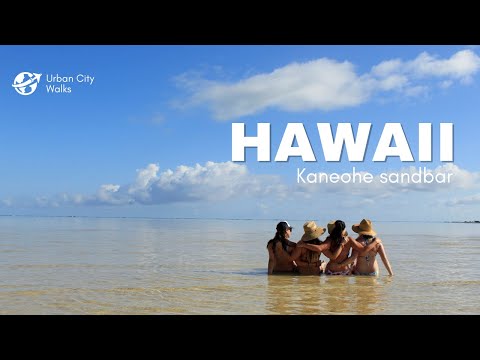 Discover the Magic of the Kaneohe Sandbar!  | Oahu Hawaii [4K] | sandbar kaneohe