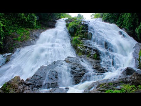 Nature with piano music 💗 Relax video and music 💗 Waterfall