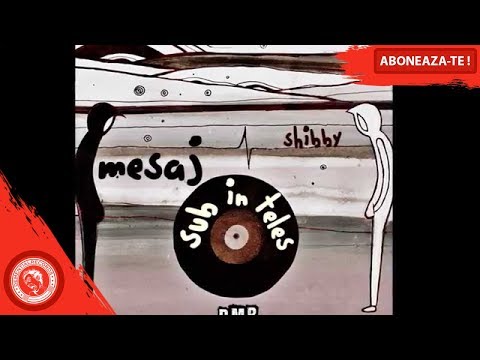 Promo Album Shibby -  Mesaj SubINteles (Mesaj in subinteles)
