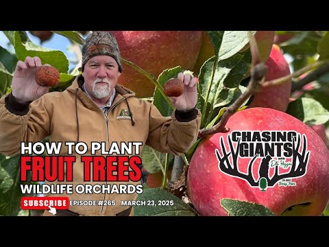 Episode #265 - How To Plant Fruit Trees - Wildlife Orchards