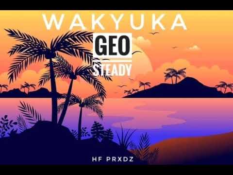 Geosteady—Wakyuka(Fumxz Remiix)