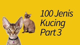 Download lagu 100 Jenis Kucing di Seluruh Dunia! Part 3 mp3 Download lagu 100 Jenis Kucing di Seluruh Dunia! Part 3 mp3