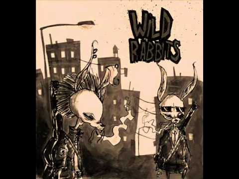 Justice vs Simian - We're Your Friends (Wild Rabbitz Remix)