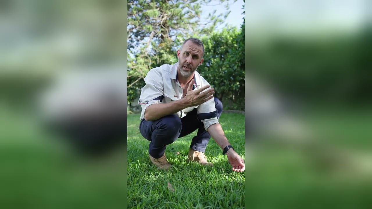 Seed or Weed Identification Tips