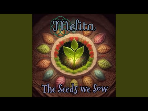 The Seeds we Sow