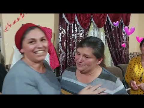 dna Ramona 42....Negoi