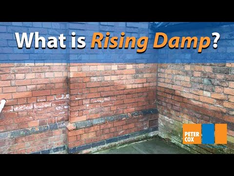 What is rising damp? | How to spot rising damp in your home