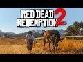 THIS IS INSANE! (Red Dead Redemption 2 Trailer Reaction)