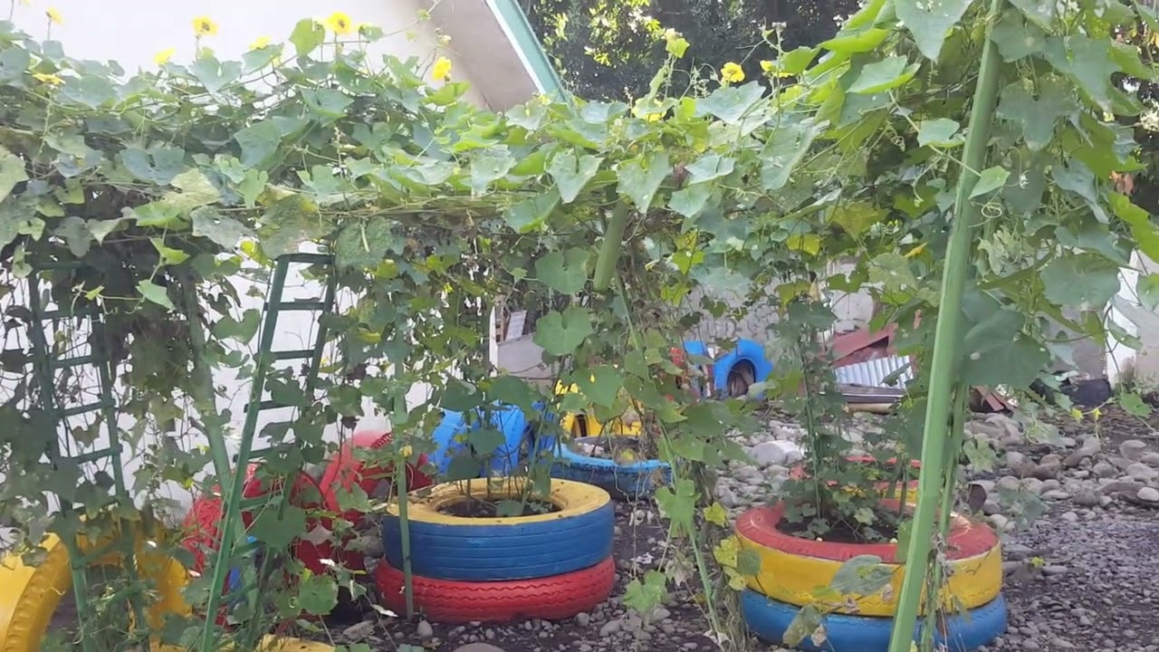 INCOME GENERATING PROJECT (IGP)