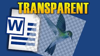 HOW TO MAKE PICTURE TRANSPARENT IN WORD