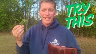 Kill Weeds Cheap without Killing the Grass!