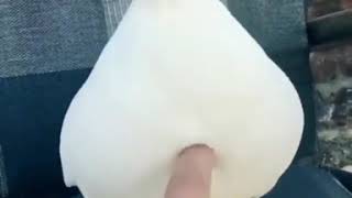 Download lagu Bebek ketawa mp3