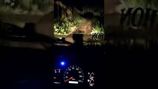 Download lagu story wa & ig nyetir truk malam hari terbaru mp3 Download lagu story wa & ig nyetir truk malam hari terbaru mp3