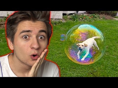 Foto Scattate Con TEMPISMO PERFETTO