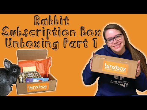 RABBIT SUBSCRIPTION BOX: Unboxing the BinxBox | Part 1 in Rabbit Subscription Box Series