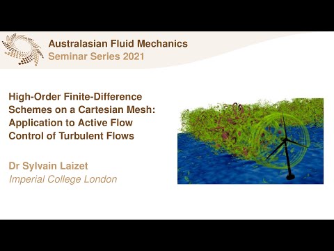 AFMS Webinar 2021 #2 - Dr Sylvain Laizet (Imperial College London)