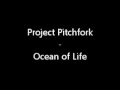 Project Pitchfork - Jupiter(Or somewhere out There)