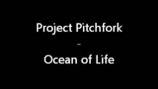 Project Pitchfork - Jupiter(Or somewhere out There)