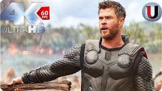 Thor Arrives In Wakanda Scene - Avengers Infinity War - MOVIE CLIP (4K)