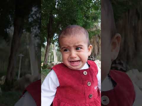 “Tiny Drama Over Milk! 😂