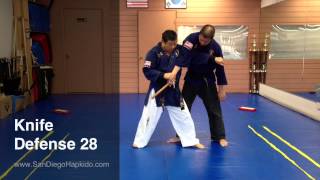 Hapkido Knife Defense 28