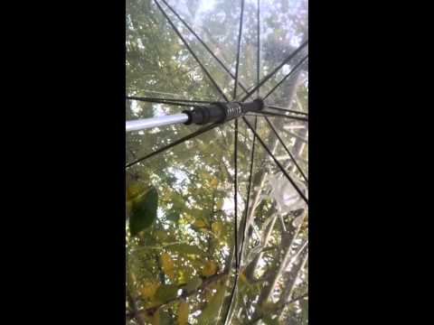 ZKM Karlsruhe: Kleine Wassermusik (Paul de Marinis, Raindance)