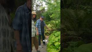 His Garden Breaks All Gardening Conventions. #garden #gardening