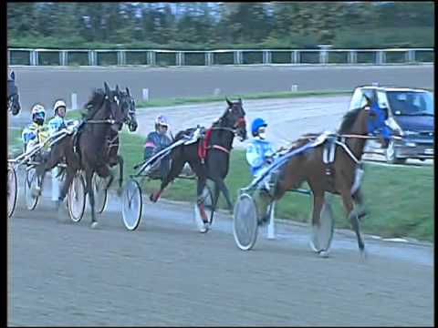 Trotto 22/11/2015 - 3° corsa