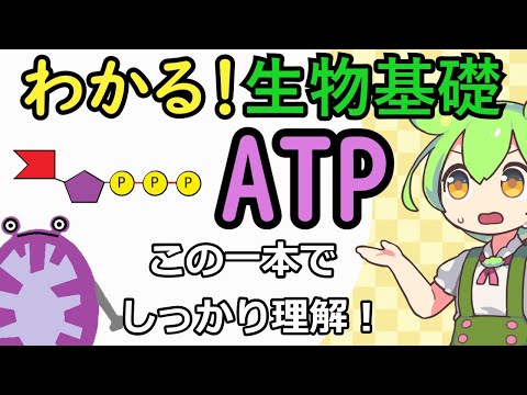 タウメトポエ科について詳しく解説
