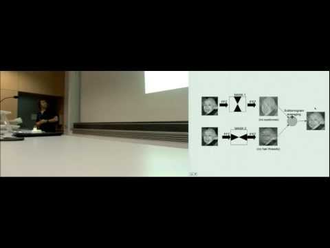 2dx Workshop 2012: Subtomogram Averaging of Cryo-ET Data by Daniel Castaño‐Díez