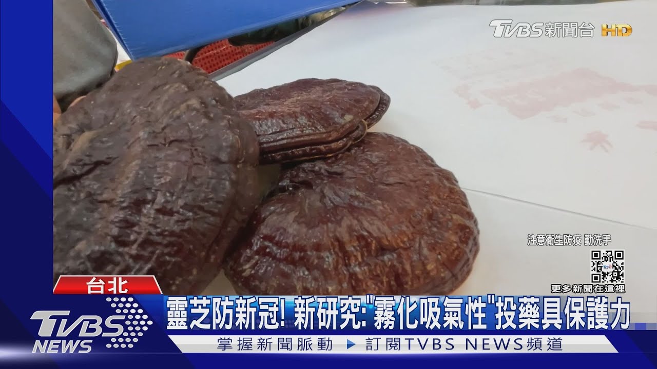 靈芝防新冠! 新研究:「霧化吸氣性」投藥具保護力