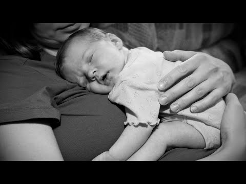 12 Hours Of Womb Sounds With Calm 20 BPM Heart Rate