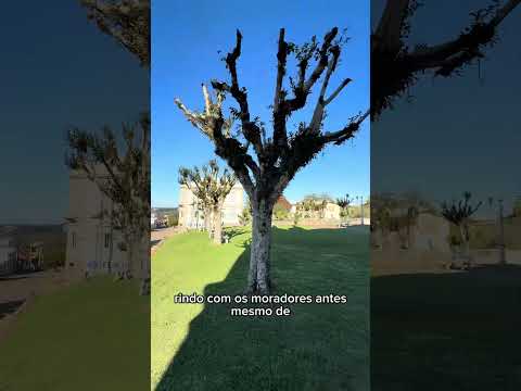 Por que devo conhecer Cotiporã? E você, já conhece? 🌿🍷🧀 #cotiporã #riograndedosul #serragaucha