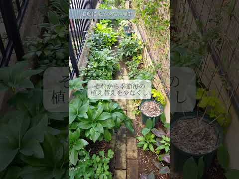 植物を暖めるのに適した冬のベールは何ですか?リーダーに従う ！  庭園