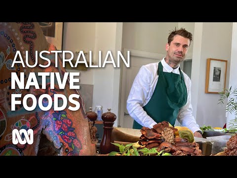 Indigenous chef uses emu eggs, bunya nuts and wattle seed to make unique dishes ABC Australia