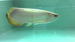 IMG 4636