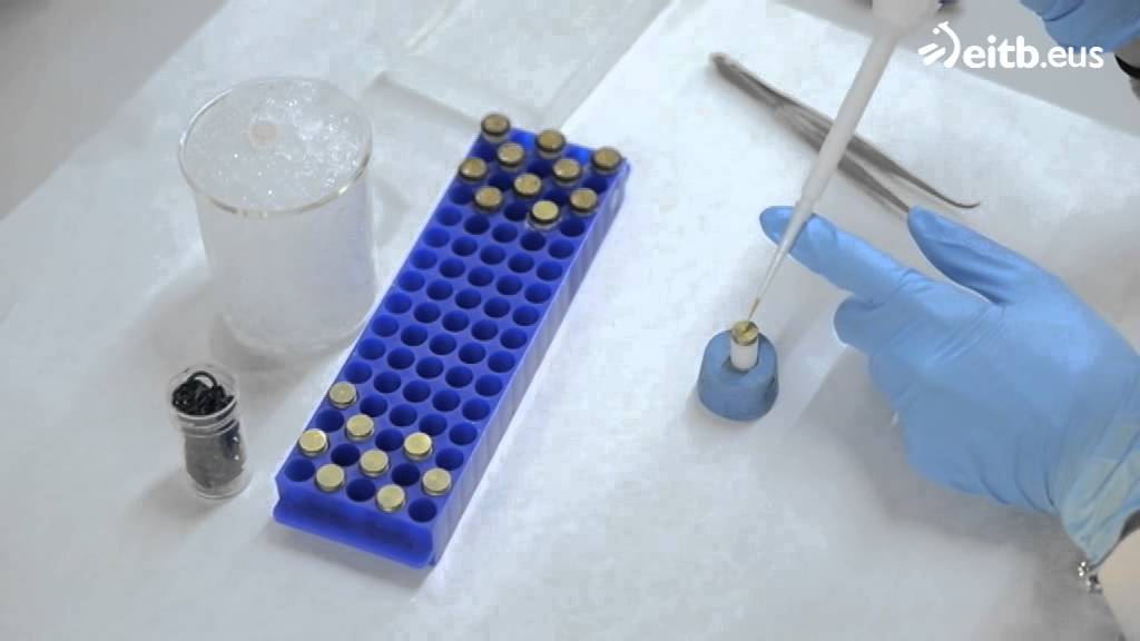 ¿Cómo funcionan los biosensores?