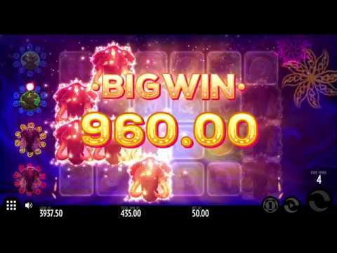Pink Elephant Bonus Feature (BIG WIN)